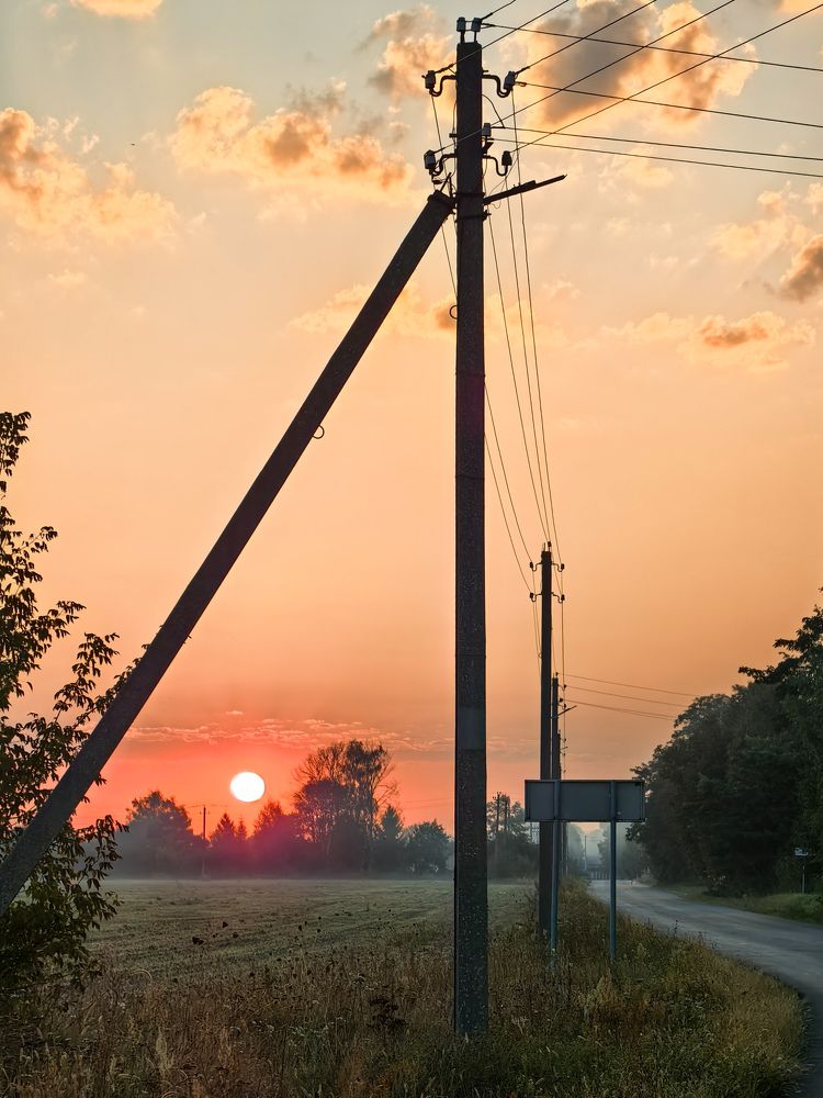 Фотография автора Ольга Панасюк