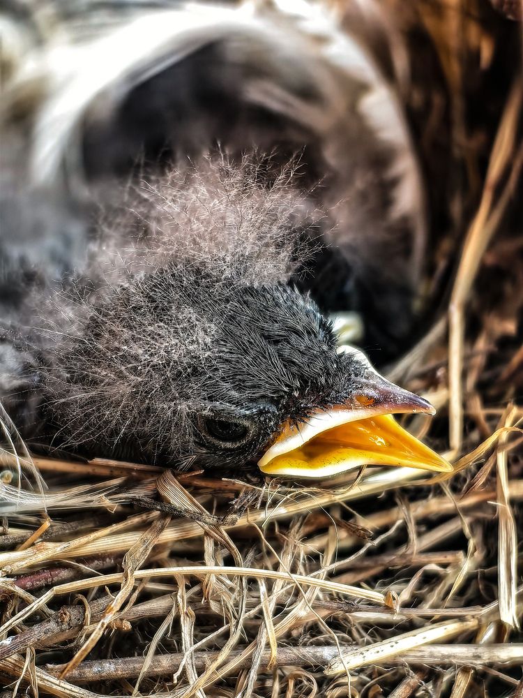 Фотография автора Ольга Панасюк