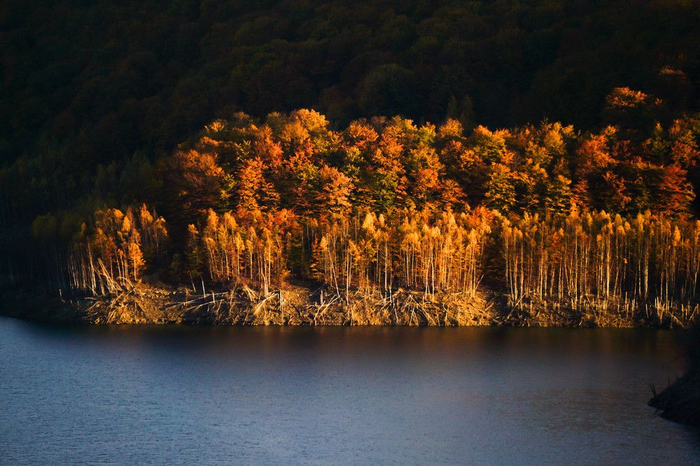 Photograph by George Catalin Serbu