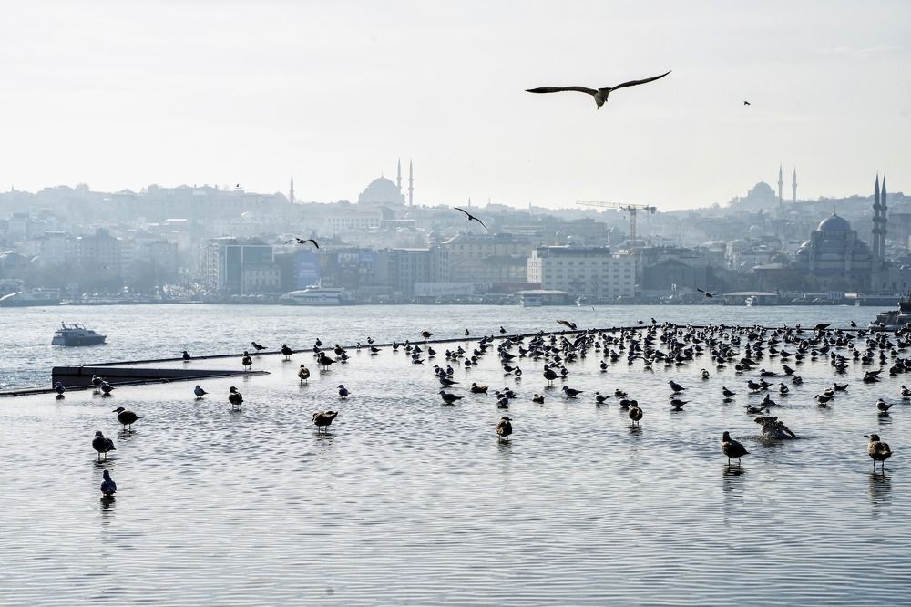 Фотография автора Fikriye Er