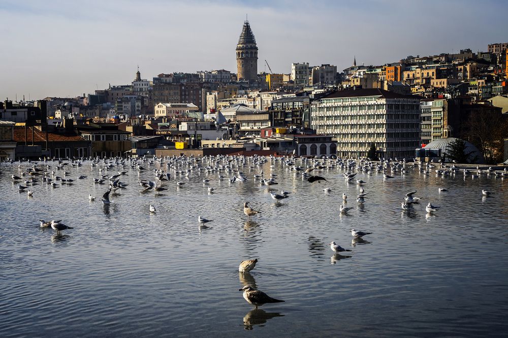 Фотография автора Fikriye Er