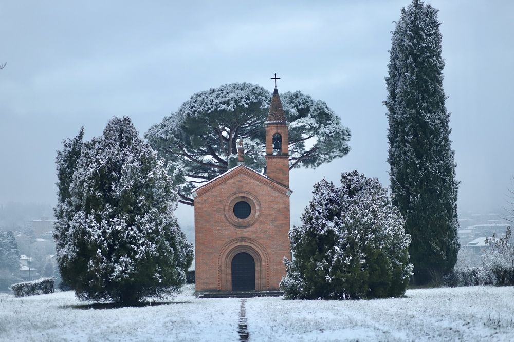 Фотография автора Ольга