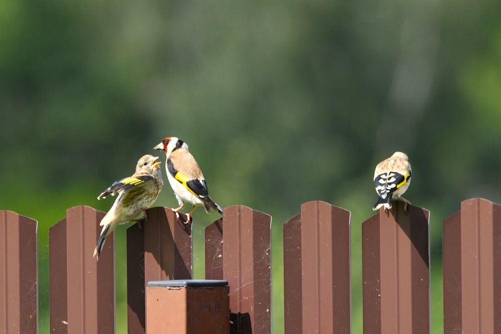 Photograph by Владимир Романов