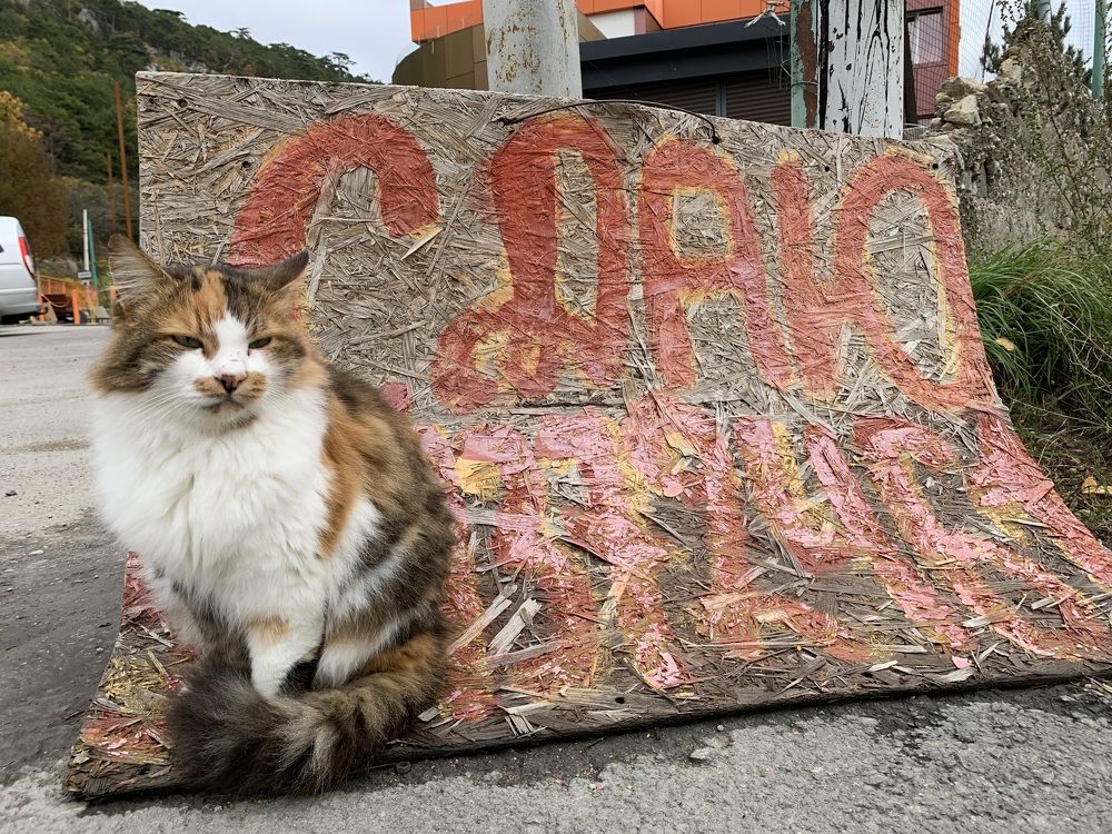 Успешный риэлтор (successful realtor)