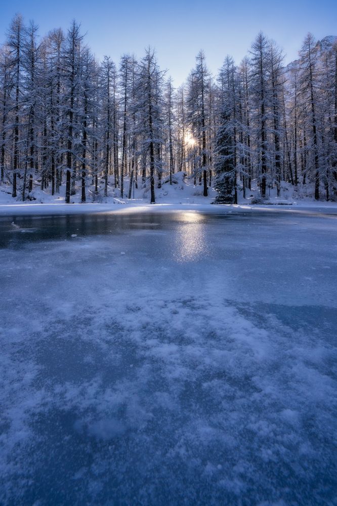 Photograph by Davide Torchia