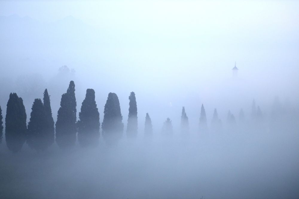 Фотография автора Ольга