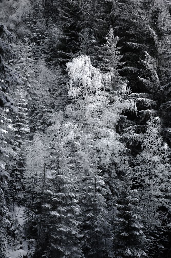 Фотография автора Katherine Mils