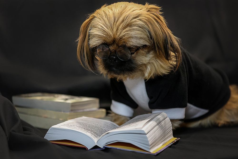 Фотография автора Анна Абрамова