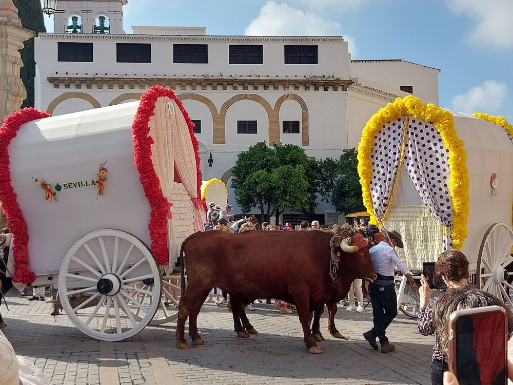 Photograph by Rosane Cortez