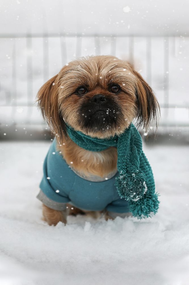 Фотография автора Анна Абрамова