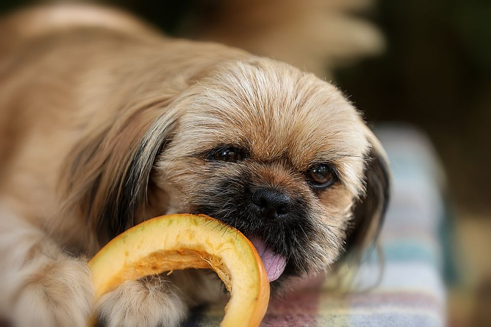 Фотография автора Анна Абрамова