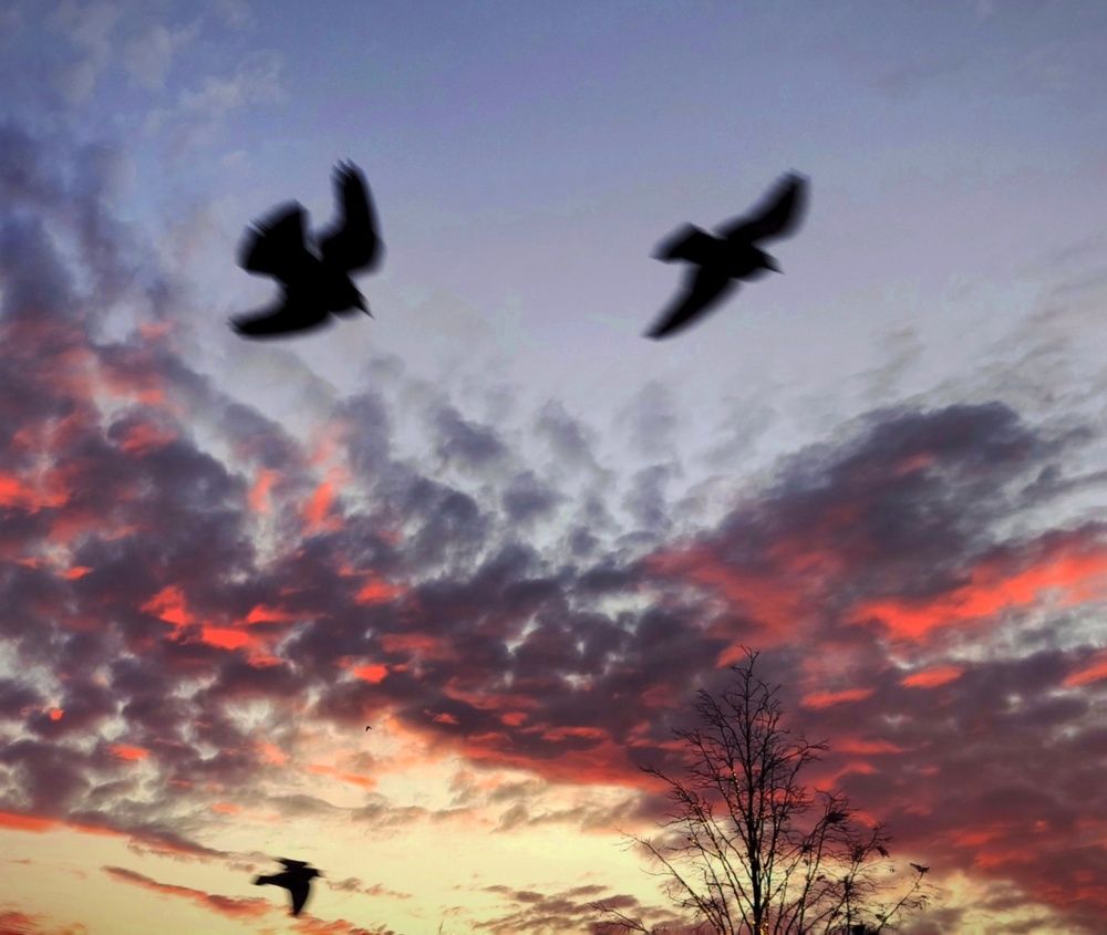 Фотография автора Мария Капатурина