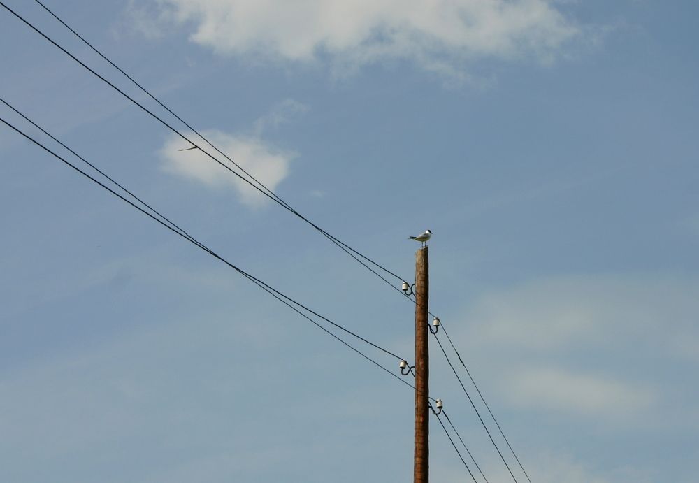 Фотография автора Nelya  Lysenko