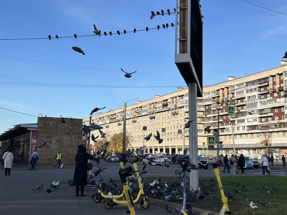 Photograph by Елена Маркова