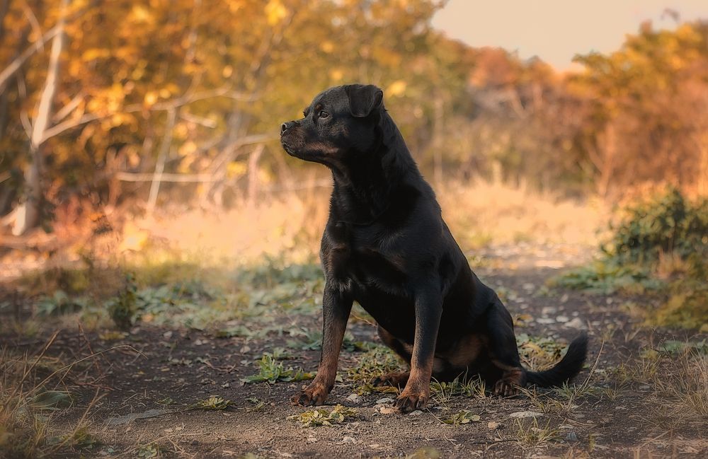 Фотография автора Анна Абрамова