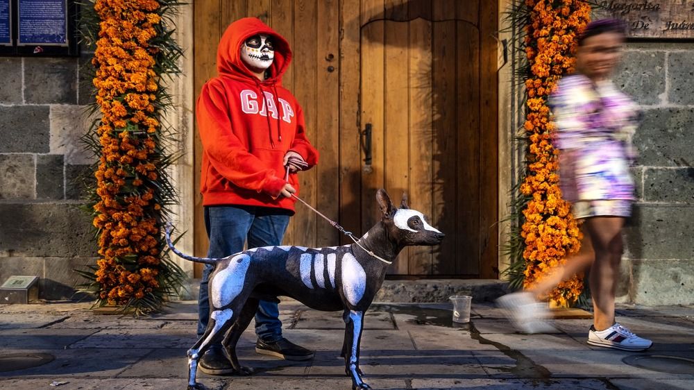 Фотография автора Fikriye Er