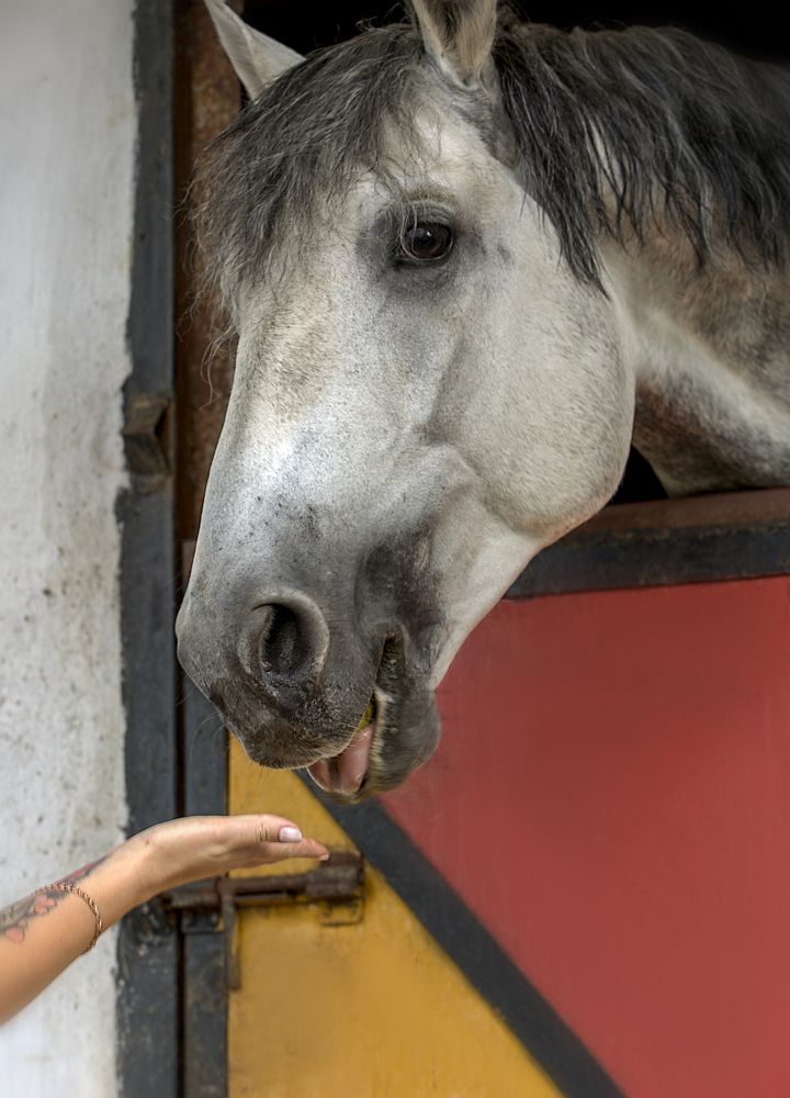 Фотография автора Анна Абрамова