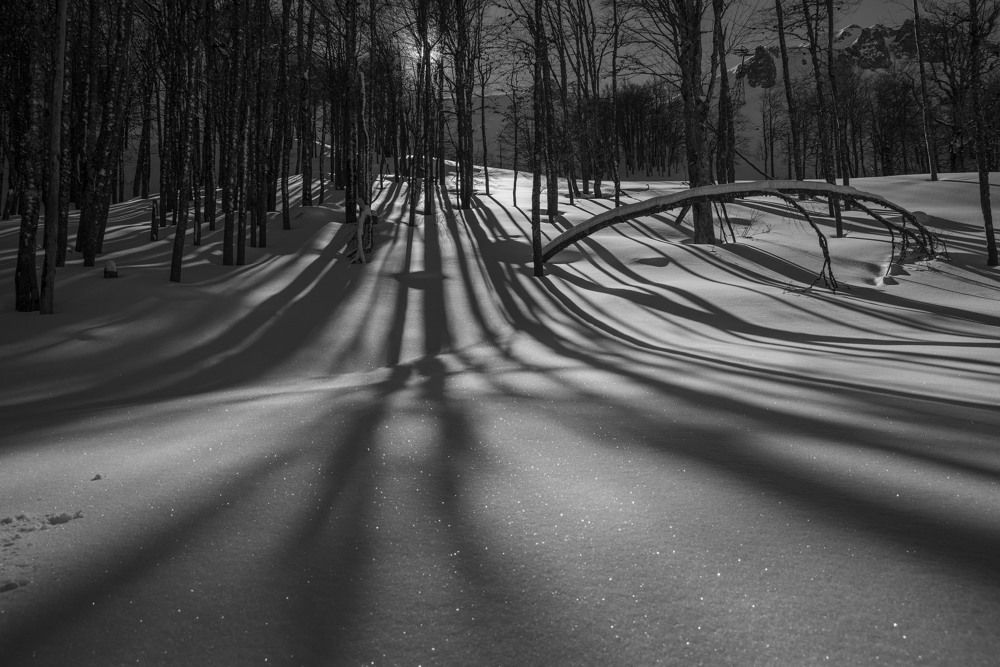 Photograph by Radojko Boskovic