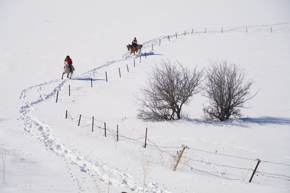 Фотография автора Fikriye Er
