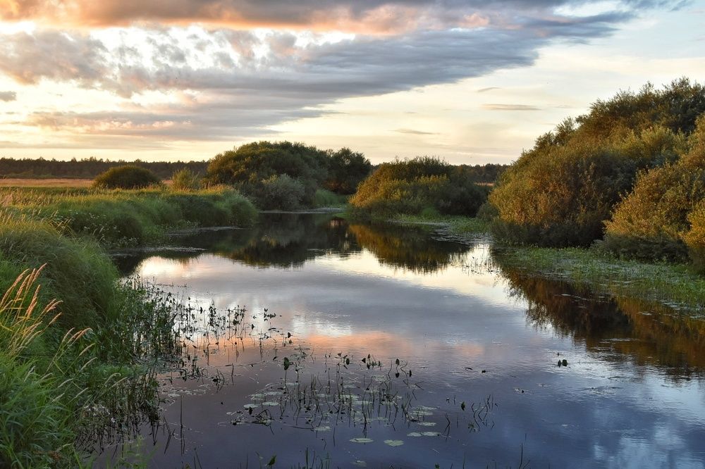 Photograph by Татьяна Абабкова