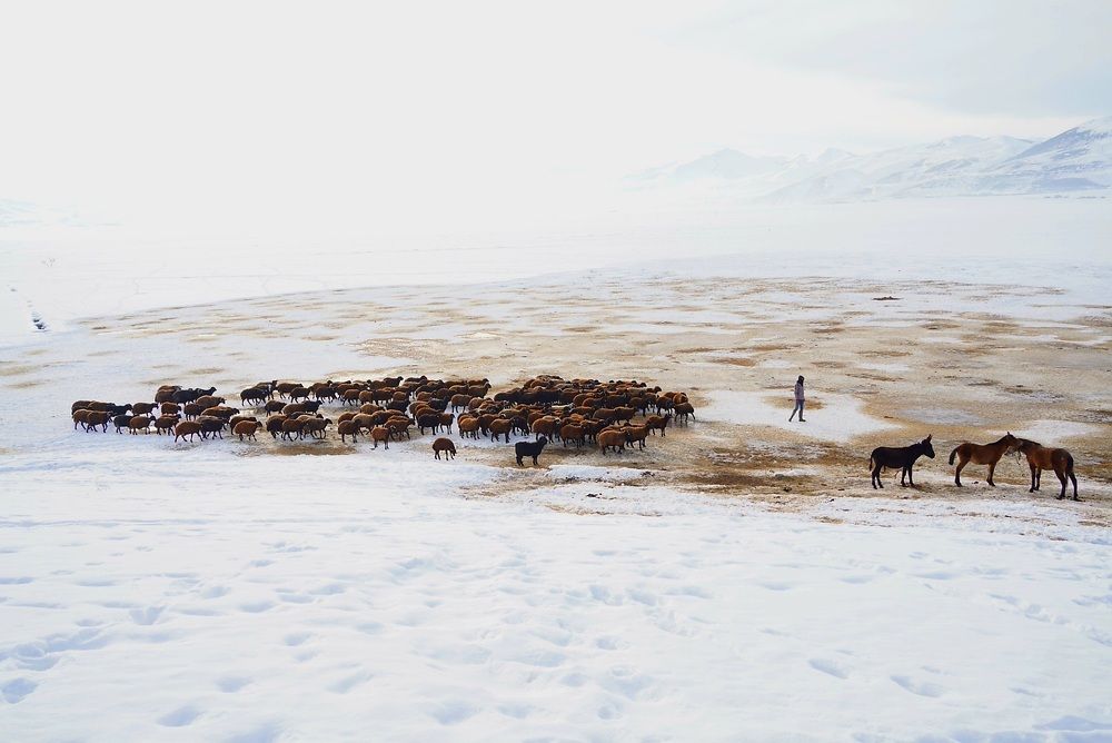 Фотография автора Fikriye Er