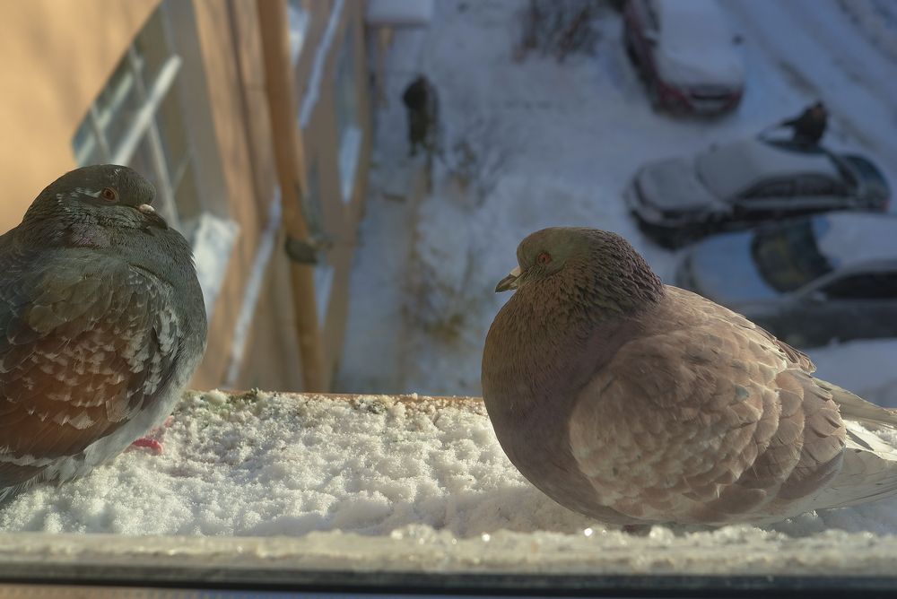 Photograph by Виктор Ремишевский