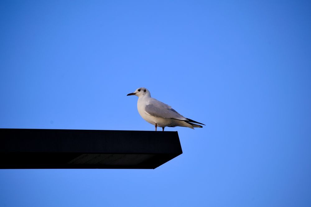 Photograph by Omelchuk Alexander