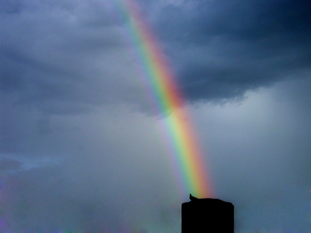 Photograph by Olga Sokolinskaya