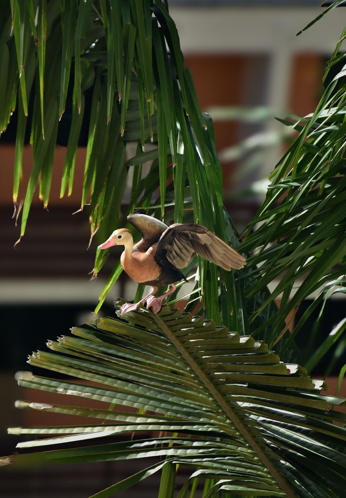 Photograph by Maria Volnova