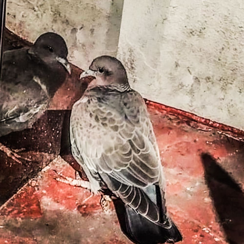 Photograph by Maria julieta ZURZOLO