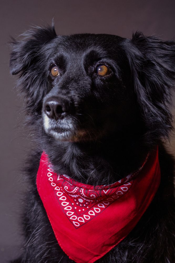 Photograph by Наташа Шибаева