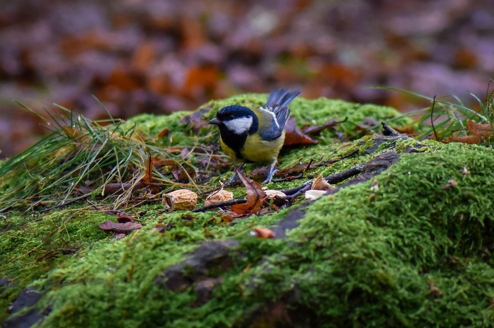 Photograph by Ljudmilla Pavljutsenkova