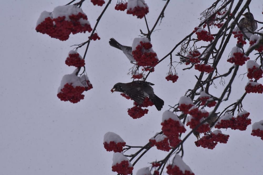 Photograph by Ljudmilla Pavljutsenkova