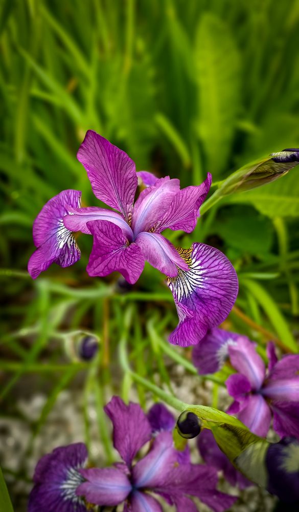 Photograph by Наташа Шибаева