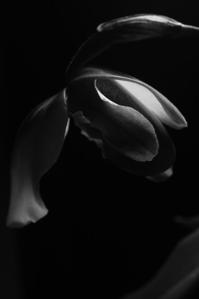 Photograph by Ольга Истомина