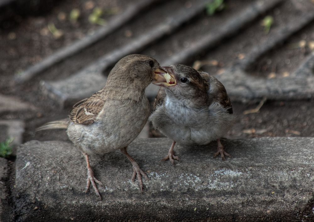 Фотография автора Николай Бо