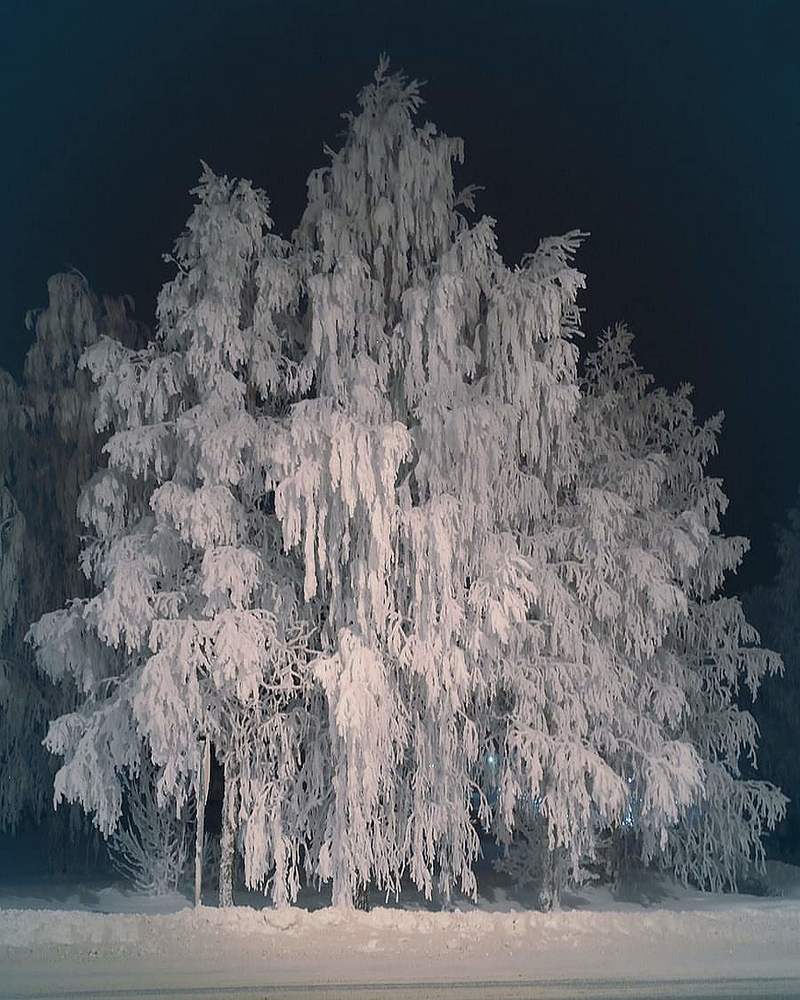 Photograph by Ольга Ситникова