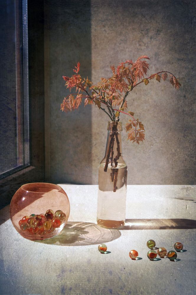 Фотография автора Penka Berberova