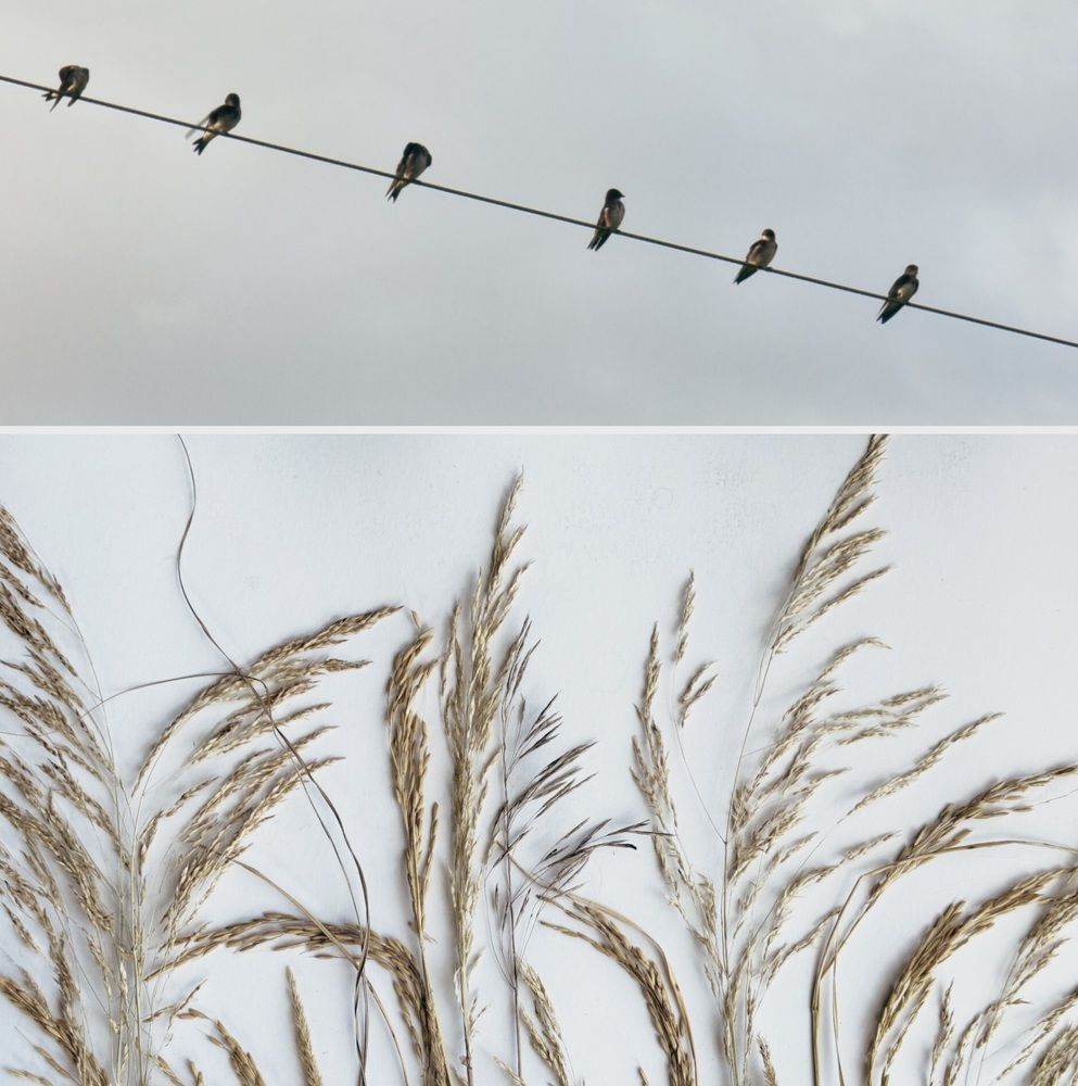 Photograph by Maria Volnova