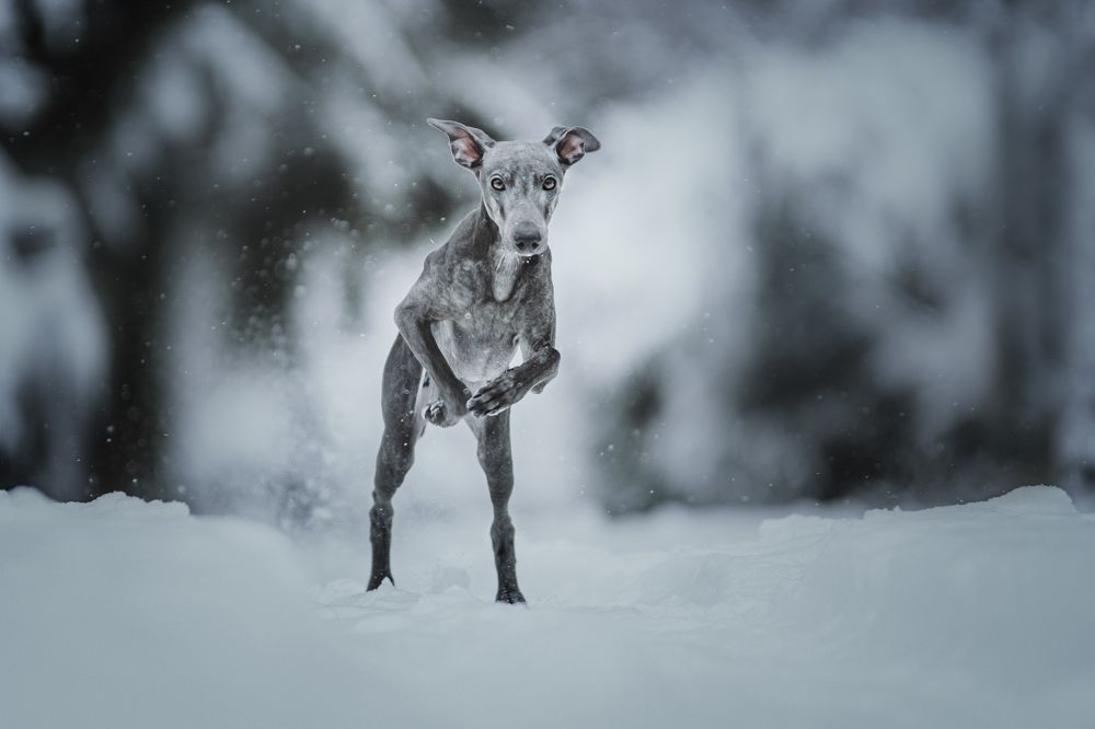 Фотография автора Ritus20018