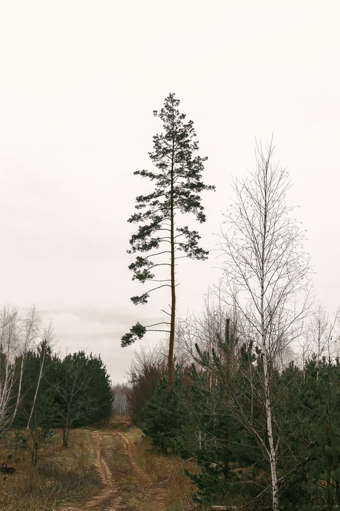 Фотография автора Елена Чиликина