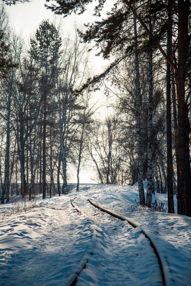 Photograph by Владимир Пилюков