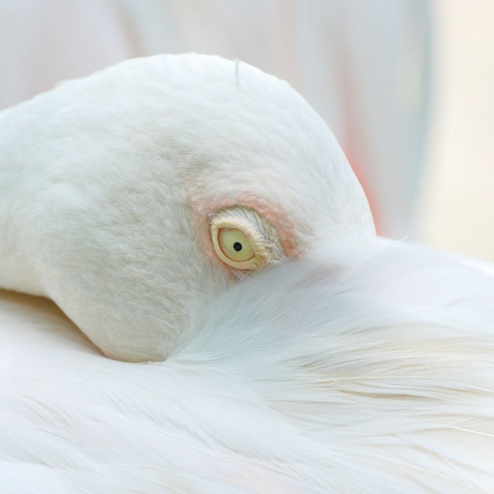 Photograph by Ilia Dmitriev