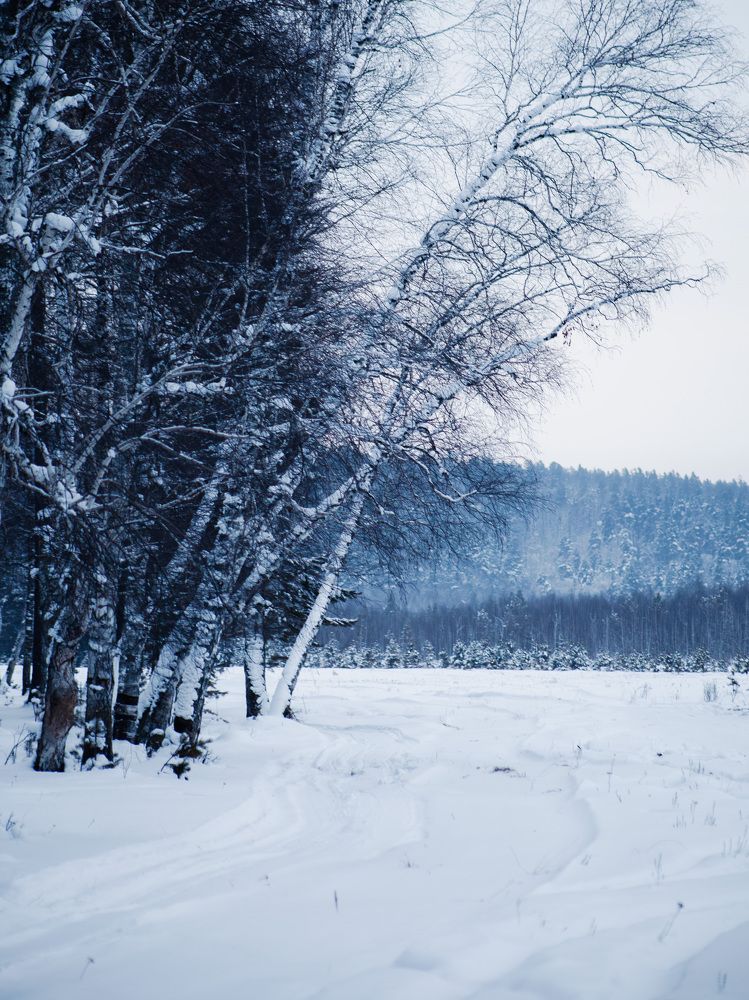 Photograph by Владимир Пилюков