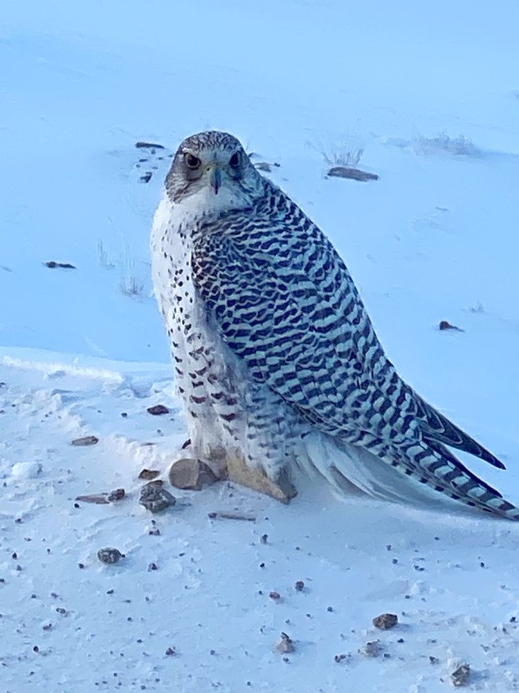 Фотография автора Наталья Вертугина