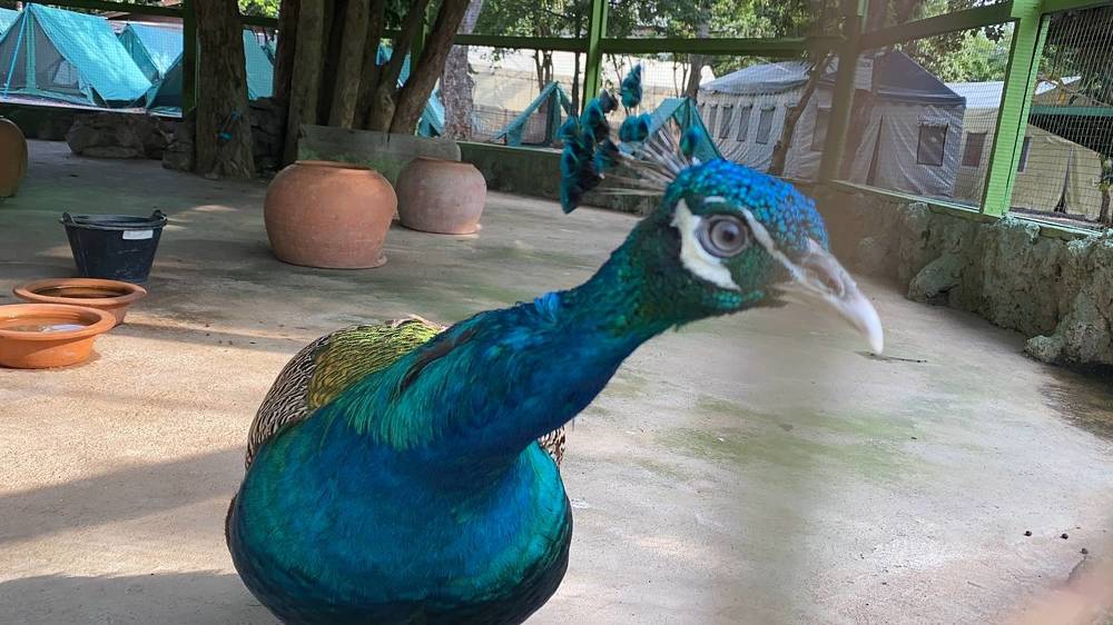 Фотография автора Наталья Вертугина