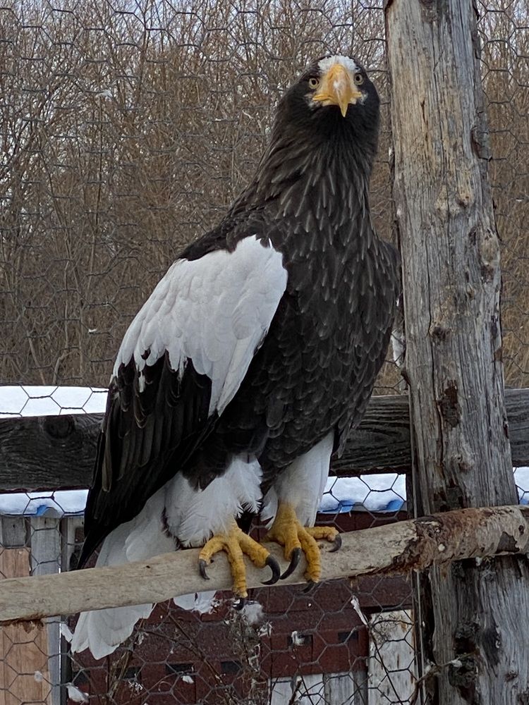 Фотография автора Наталья Вертугина