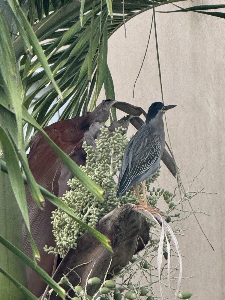 Photograph by Олеся Кузьмичева