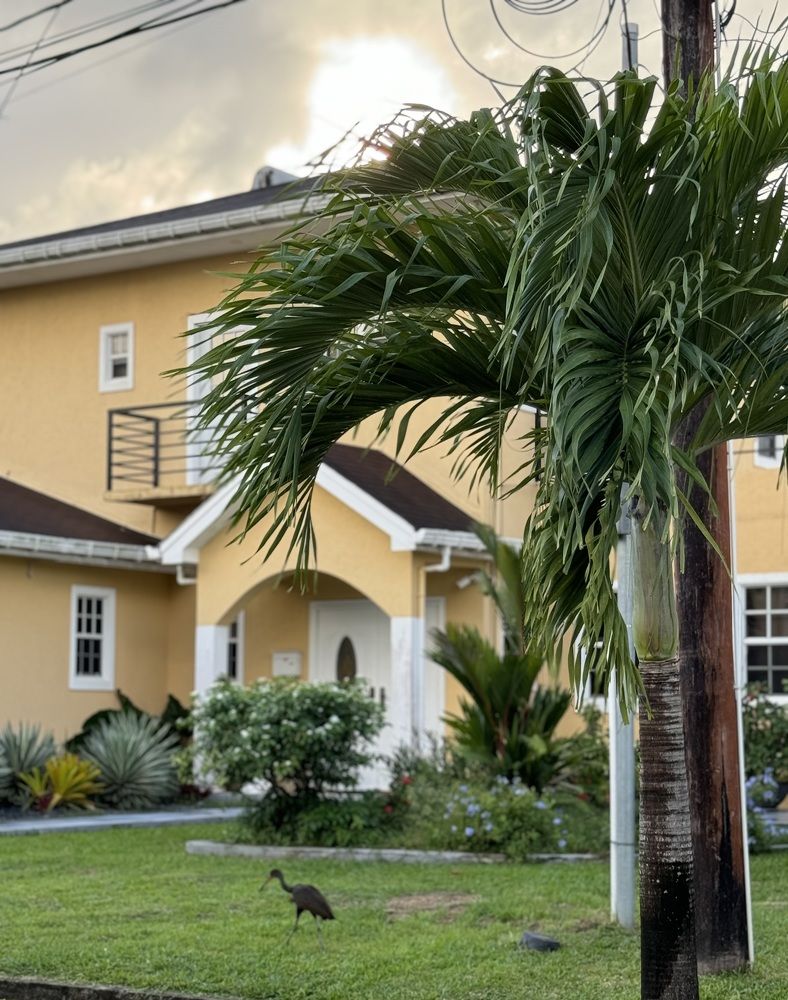 Photograph by Олеся Кузьмичева