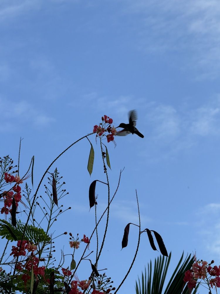 Photograph by Олеся Кузьмичева